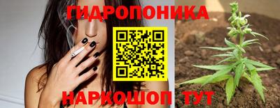 мдпв Ефремов