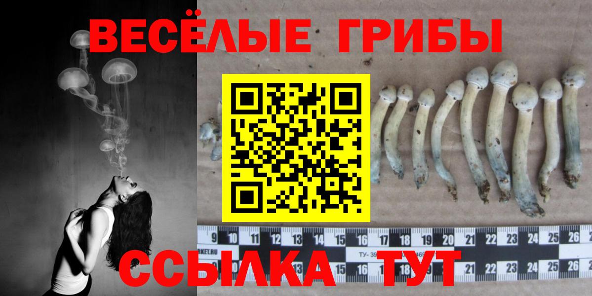 Галлюциногенные грибы мухоморы  Вход с VPN  что такое наркотик  Брянск  Галлюциногенные грибы ЛСД 