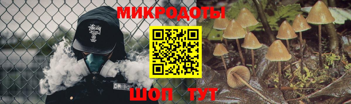 Псилоцибиновые грибы MAGIC MUSHROOMS Брянск